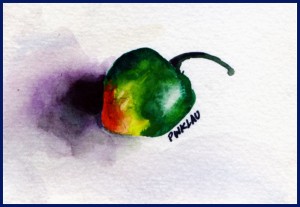 Hot Chili Pepper Watercolor Painting - ATC / ACEO