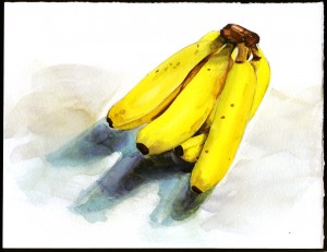 Watercolor Painting - Banana